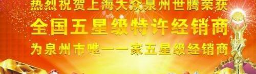 大众,Polo,朗逸