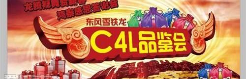 东风,幻影,雪铁龙,标致