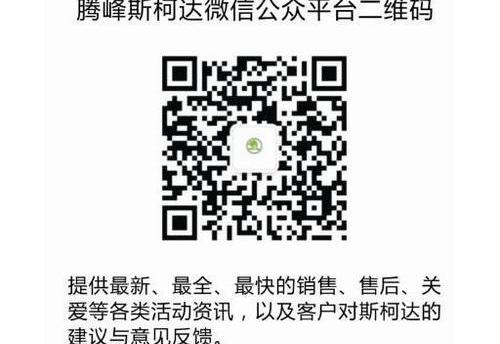 斯柯达,大众,理念,汉