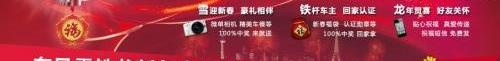 雪铁龙,东风,宝马,型格