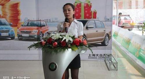斯柯达,奥迪