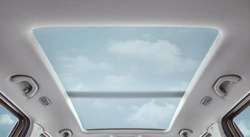 斯柯达,大众,骆驼