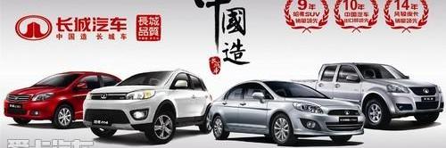 长城,起亚,现代,福特,东风