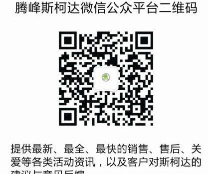 斯柯达,大众,现代,骆驼