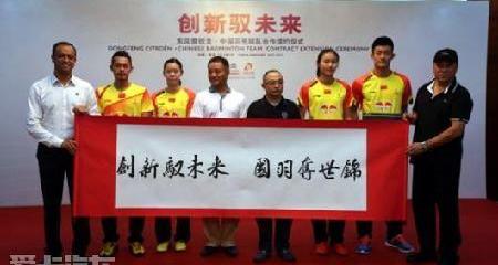 雪铁龙,东风,大众,理念,曼