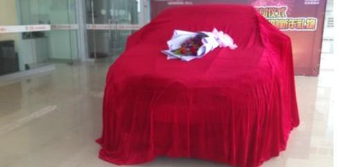 雪铁龙,东风,理念,发现,现代