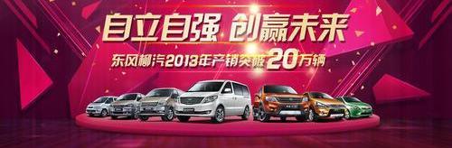 东风,东风风行,菱智,长城,大众