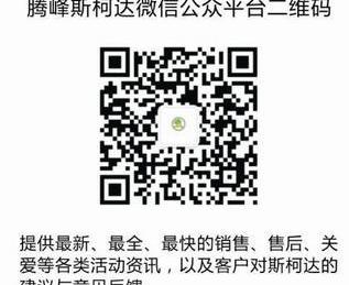 斯柯达,大众,DS,骆驼,发现