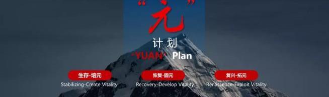 东风,标致,雪铁龙,东风富康,汉