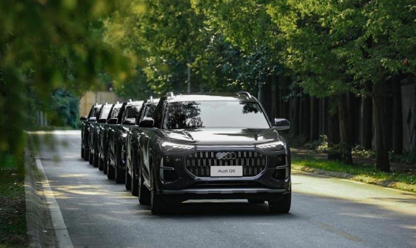 奥迪,奥迪Q6,保时捷,Macan,高尔夫