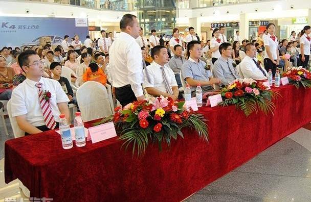 起亚,现代,名图,世纪,标致