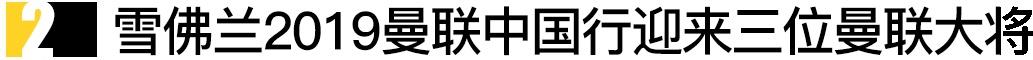 曼,特斯拉,奥迪,奥迪Q3,奥迪Q3 Sportback