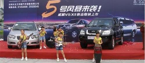 世纪,奇瑞,开瑞