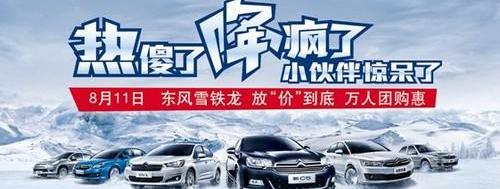东风,雪铁龙,宝马,神州
