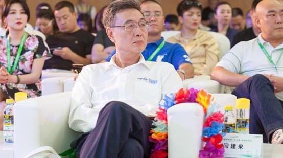 别克,比亚迪,北京,长安,东南