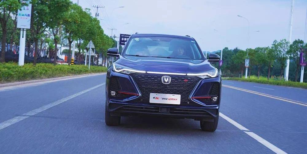 鲸