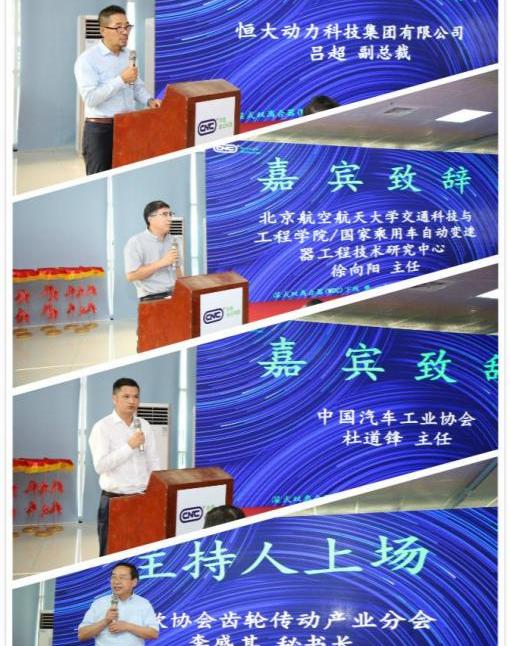 北京,比亚迪,大众,红旗,吉利汽车