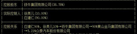 众泰,保时捷,奥迪,大发