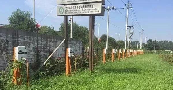 北京,大众,特斯拉,宝马,发现