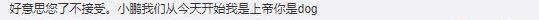 小鹏,特斯拉,小鹏G3,比亚迪,北京