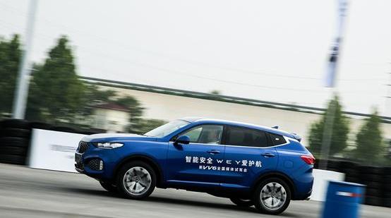 长城,凯迪拉克,理念,发现,特斯拉