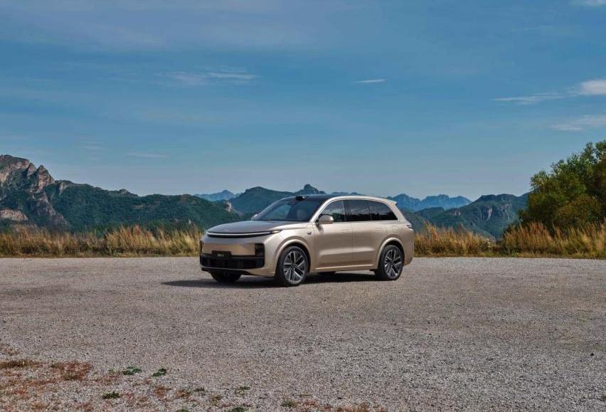 比亚迪,Model Y,理想L8,哪吒V,特斯拉
