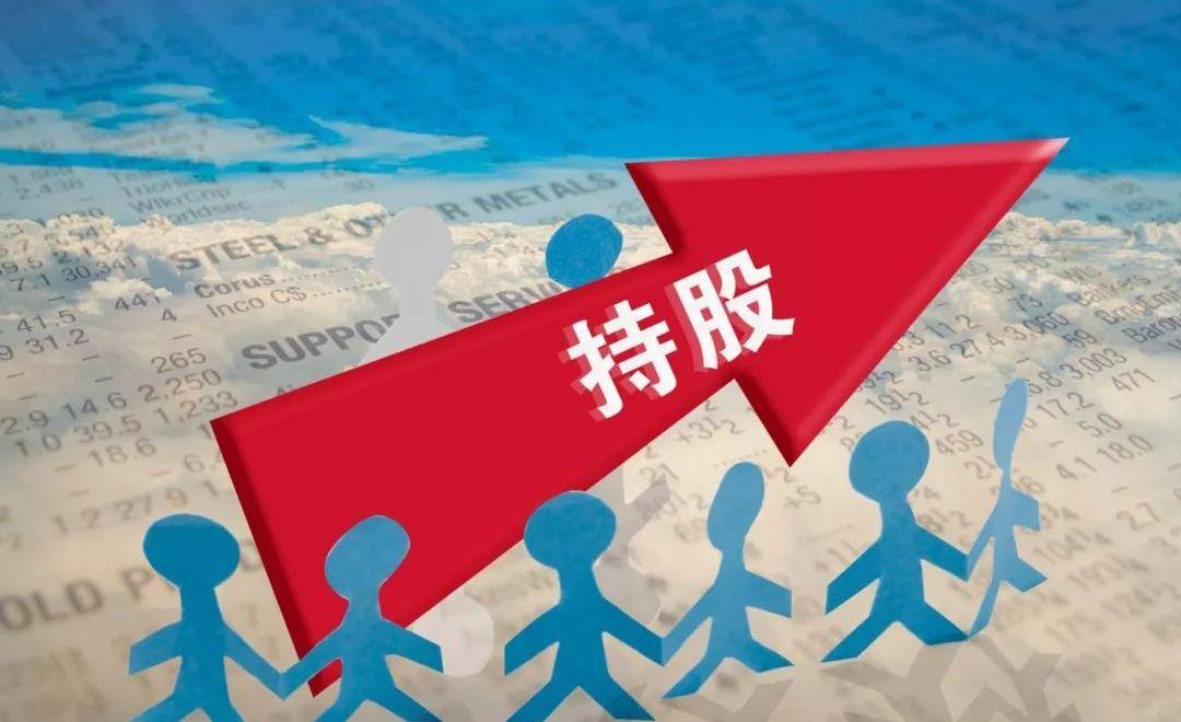 江淮,安凯客车