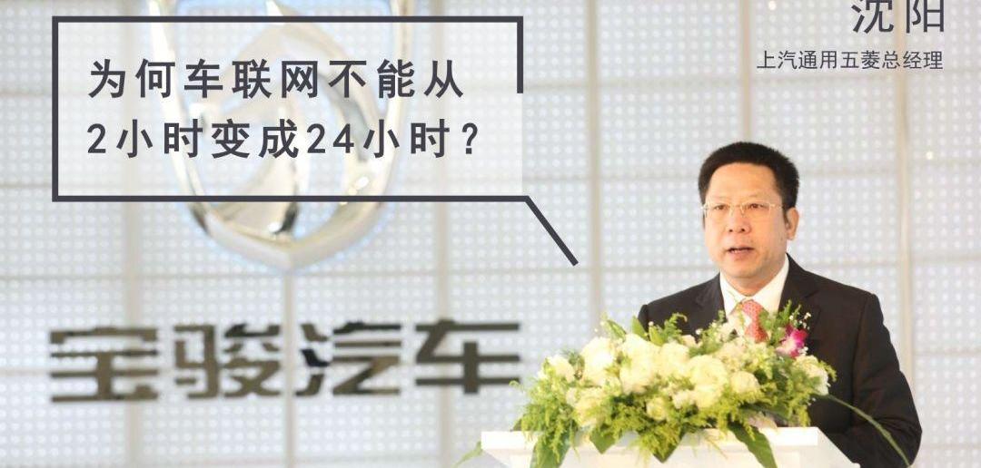 宝骏,长安,斑马