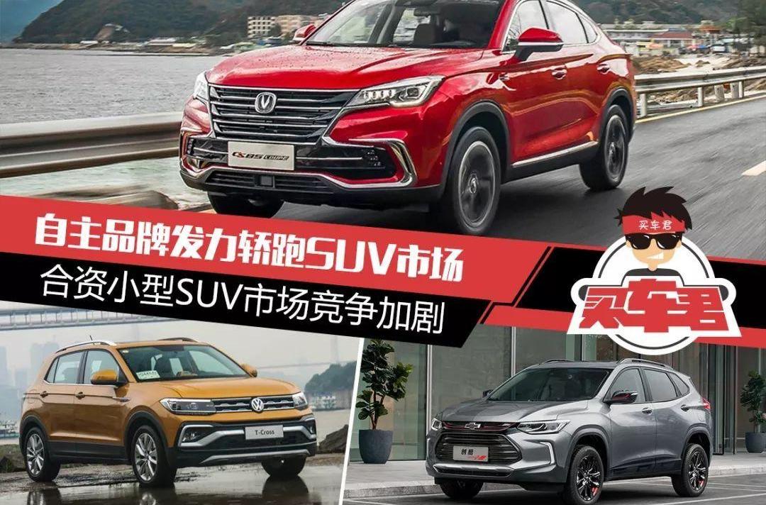 哈弗,领界,长安,缤智,北京