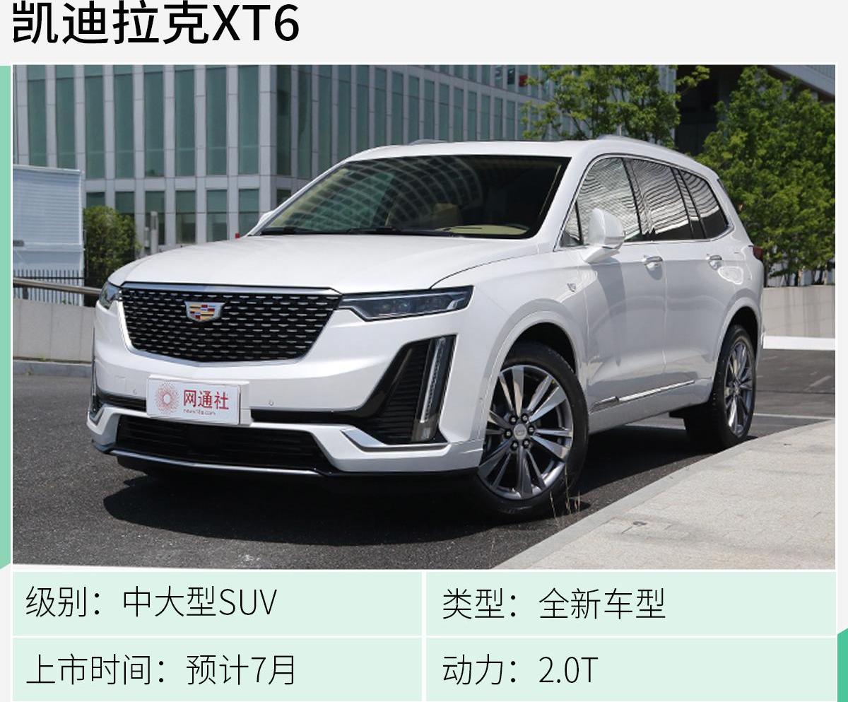 奥迪,宝马,奥迪Q8,奔驰,捷豹