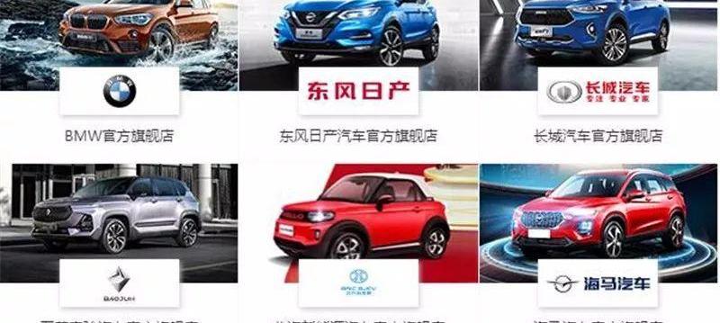 海马,长城,发现,特斯拉,蔚来