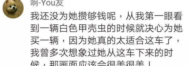 大众,保时捷,世纪,福特