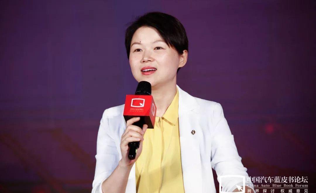 理念,特斯拉,比亚迪,长安,丰田