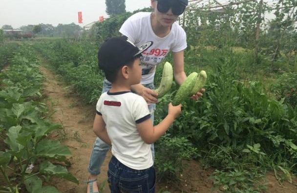 英朗,别克