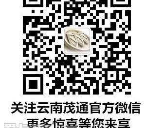 英朗,别克