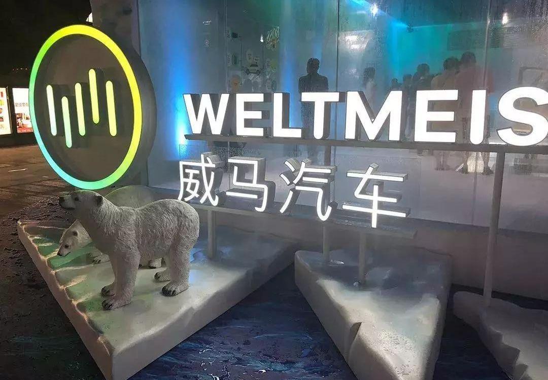 比亚迪,大众,蔚来,荣威,丰田
