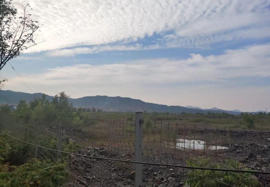 汉,北京,发现,FF 91,Faraday Future