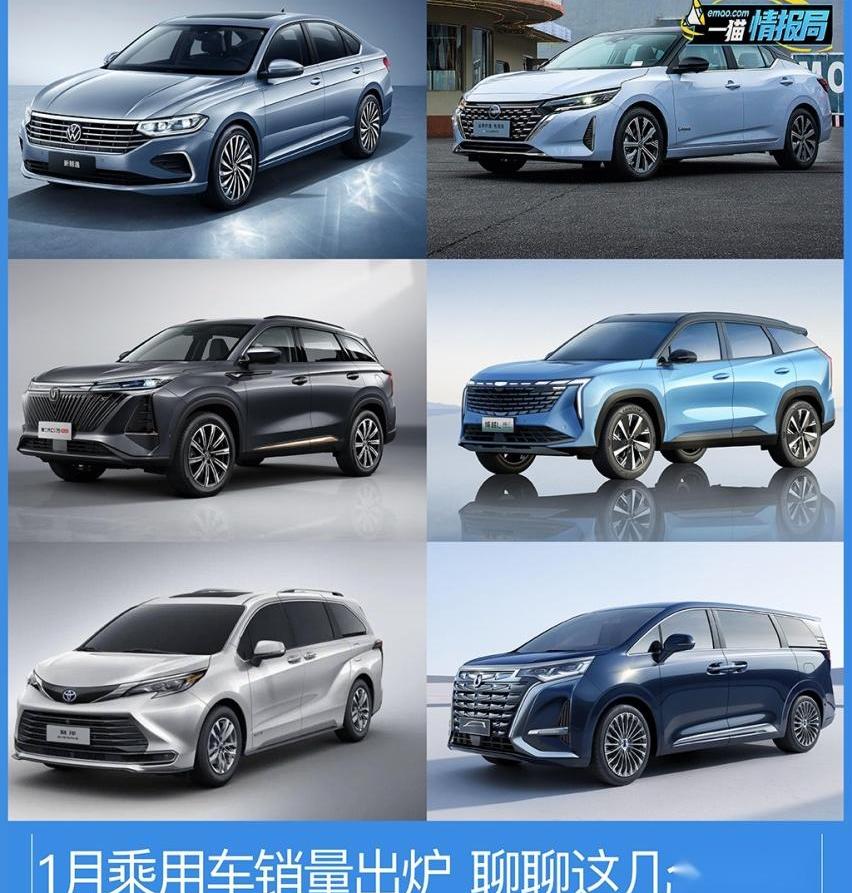 宝马,比亚迪,大众,赛那,朗逸