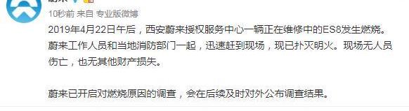 福特,日产,特斯拉,大众,宝马