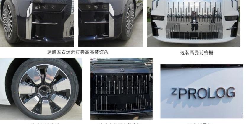 红旗,红旗HQ9,极氪,传祺M8,腾势