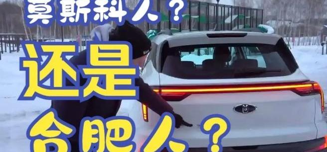 长城,奇瑞,江淮,比亚迪,东南