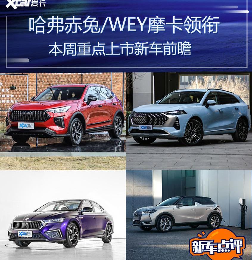 摩卡,哈弗,哈弗赤兔,奔腾,DS
