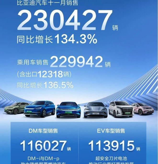 比亚迪,驱逐舰05,海豹,海豚,特斯拉