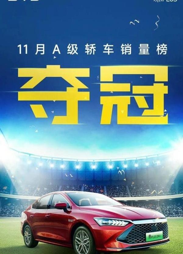比亚迪,元PLUS,汉,海豹,海豚