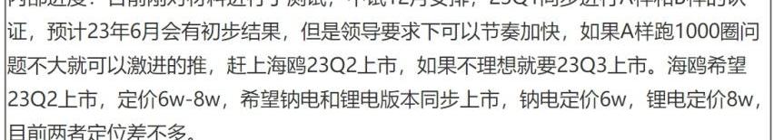 比亚迪,海鸥,海豚