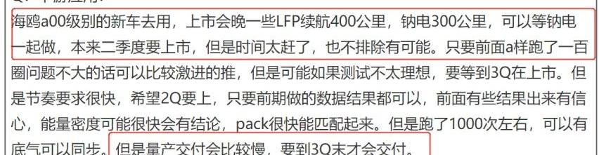 比亚迪,海鸥,海豚