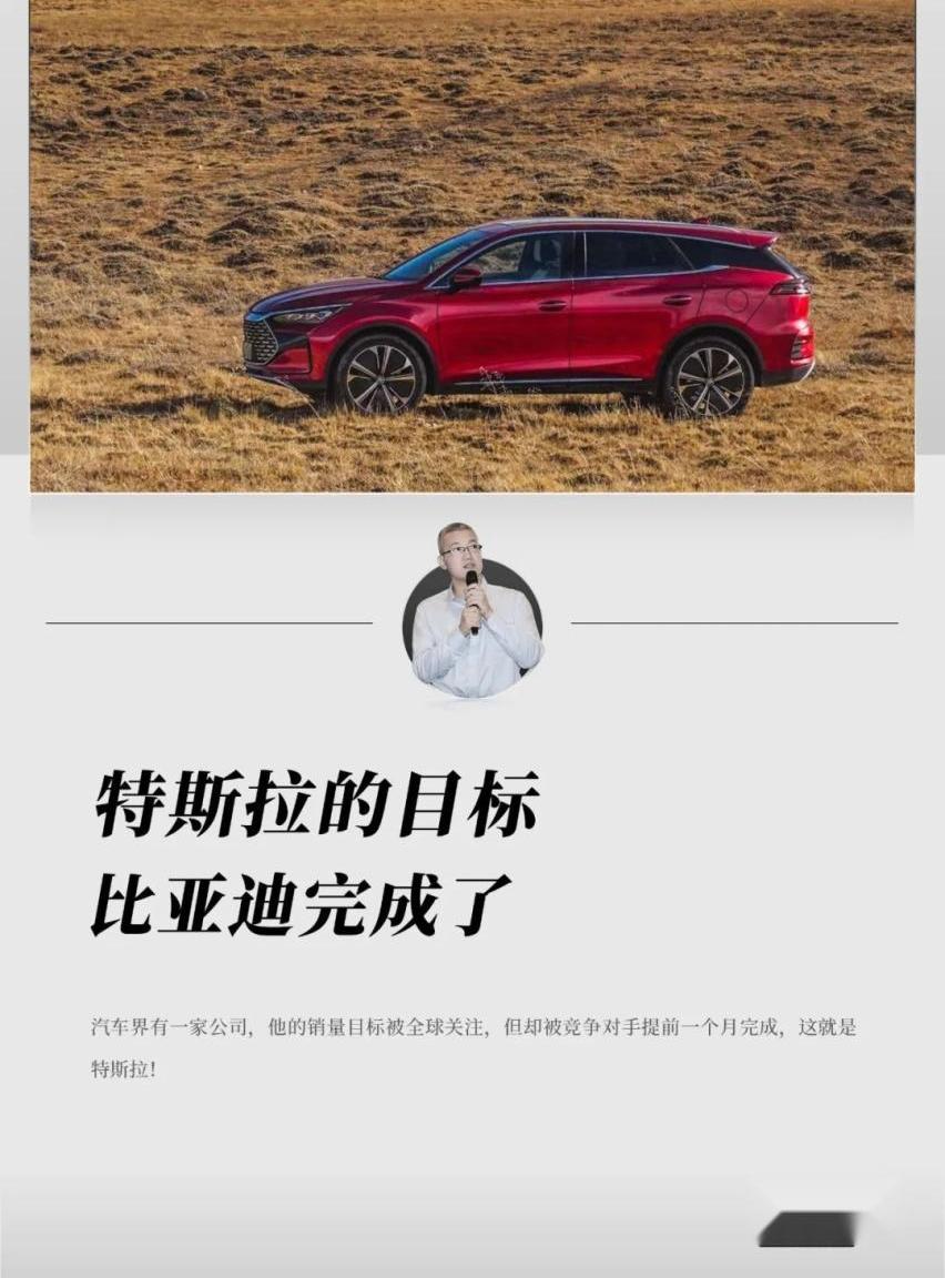 特斯拉,比亚迪