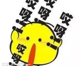 丰田,雷凌,世纪