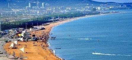斯柯达,海鸥