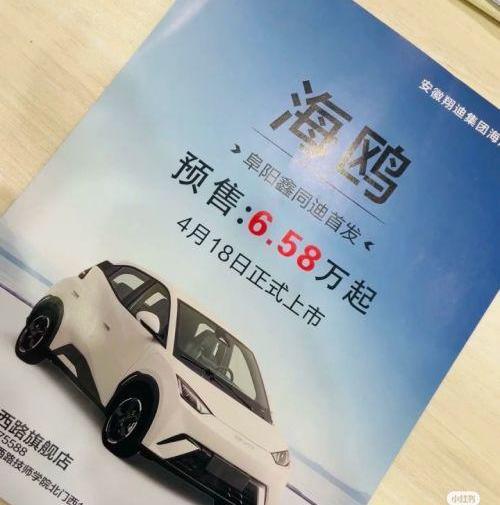 比亚迪,海鸥,理念